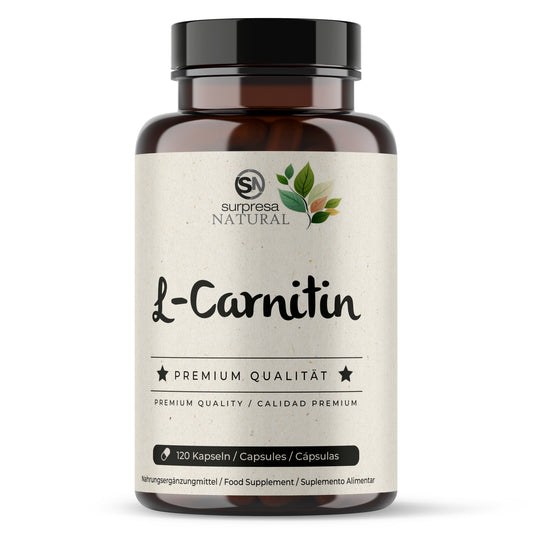 L-Carnitin Kapseln Dose – 1000mg pro Tagesdosis, vegan