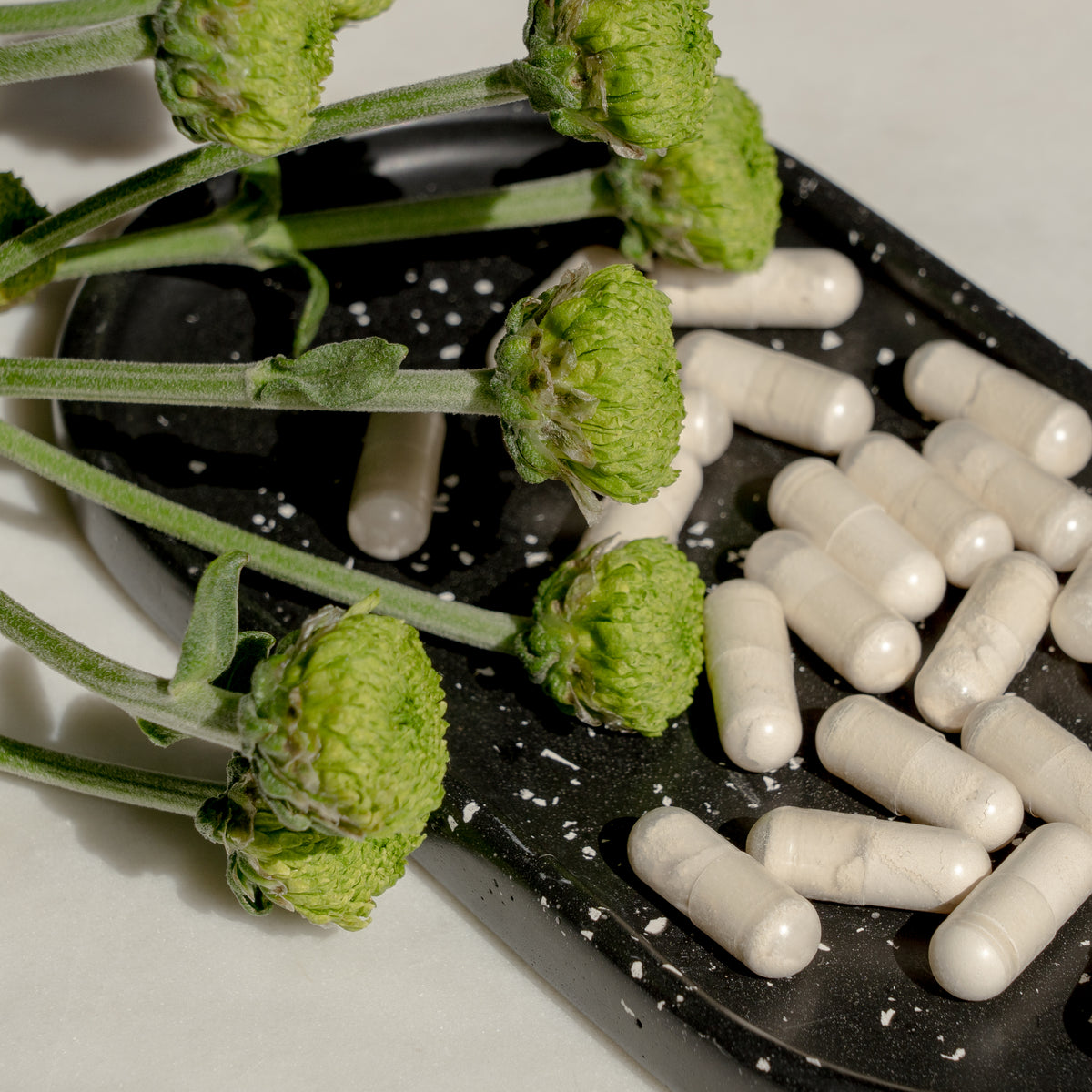 Garcinia Cambogia Capsules