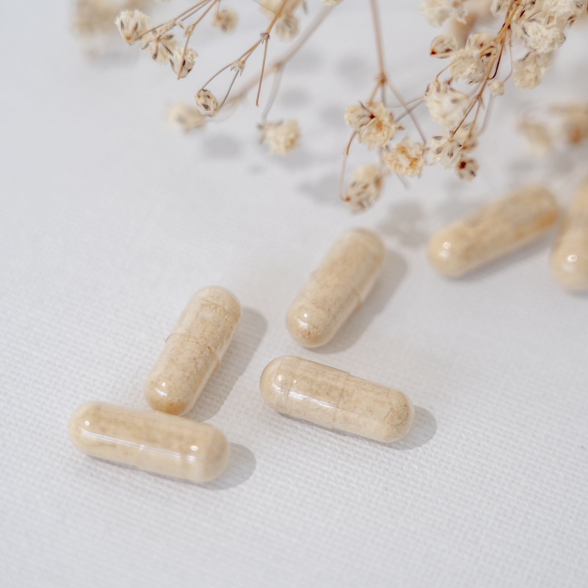 Maca Wurzel hochdosiert – peruanisches Superfood, vegan