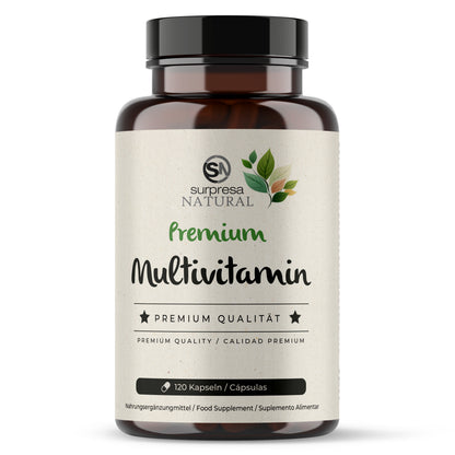 Multivitamin Premium Kapseln Dose – 22 Vitamine und Mineralien