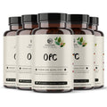 OPC Traubenkernextrakt 5er Sparpack – Made in Germany