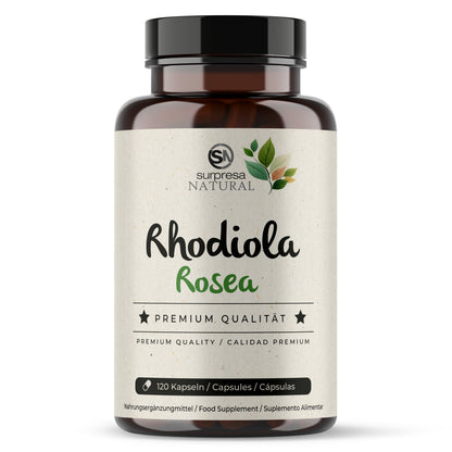 Rhodiola Rosea Kapseln Dose – 800mg Rosenwurz-Extrakt