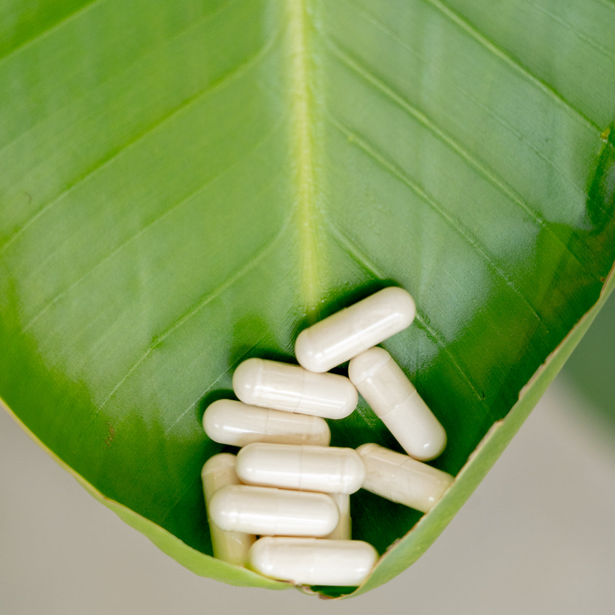 L-Tryptophan Kapseln