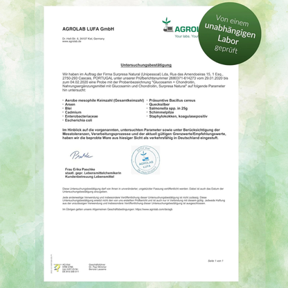 Glucosamin & Chondroitin Kapseln - Beweglich bleiben