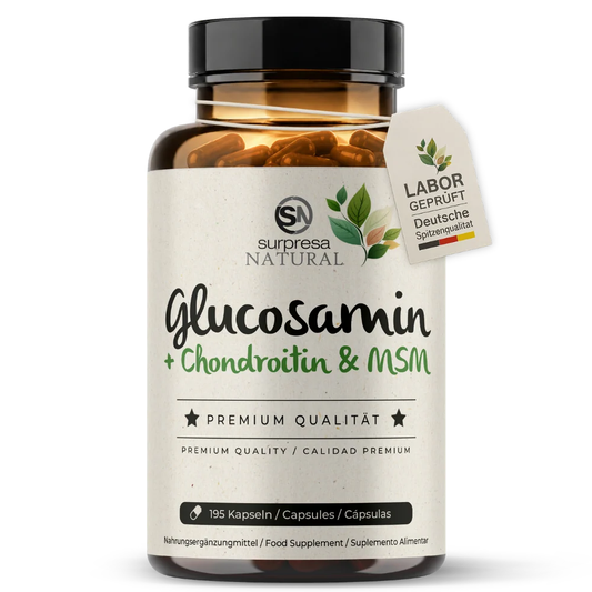Glucosamin, Chondroitin & MSM Kapseln - Die Komplett-Formel