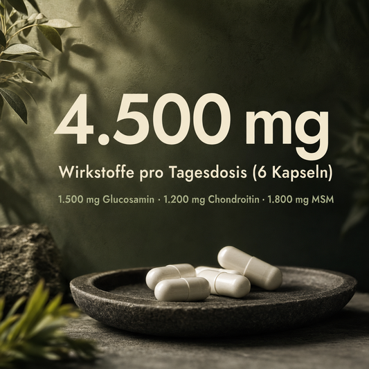 Glucosamin, Chondroitin & MSM Kapseln