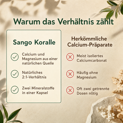 Sango Koralle Kapseln - Das Original aus Okinawa