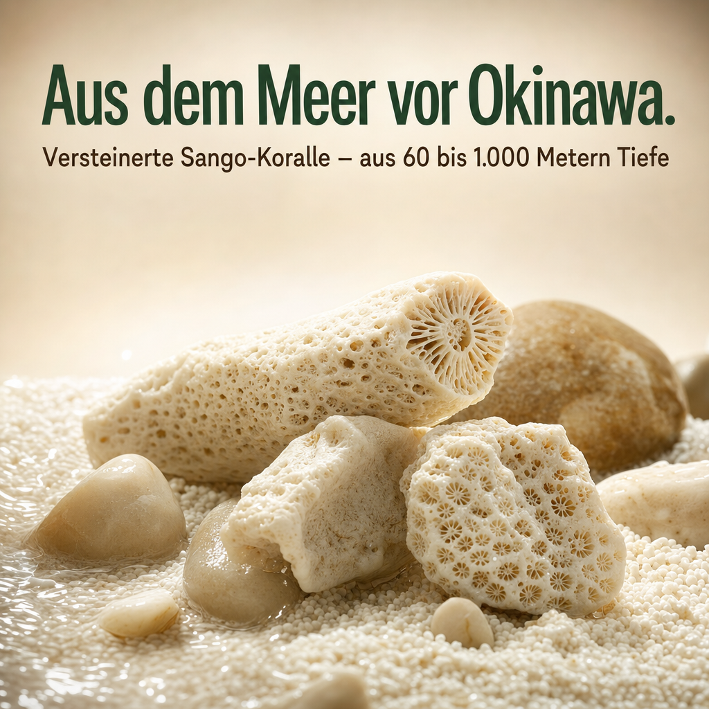 Sango Koralle Kapseln - Das Original aus Okinawa